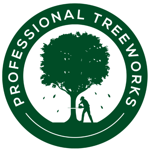 WeCreativez WhatsApp Support